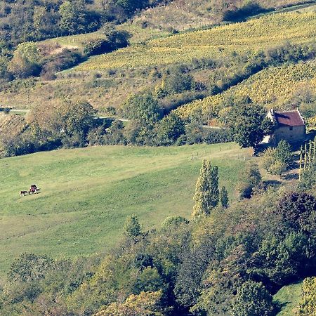 Les Billardes - Le Gite - Jura Gizia Exteriör bild