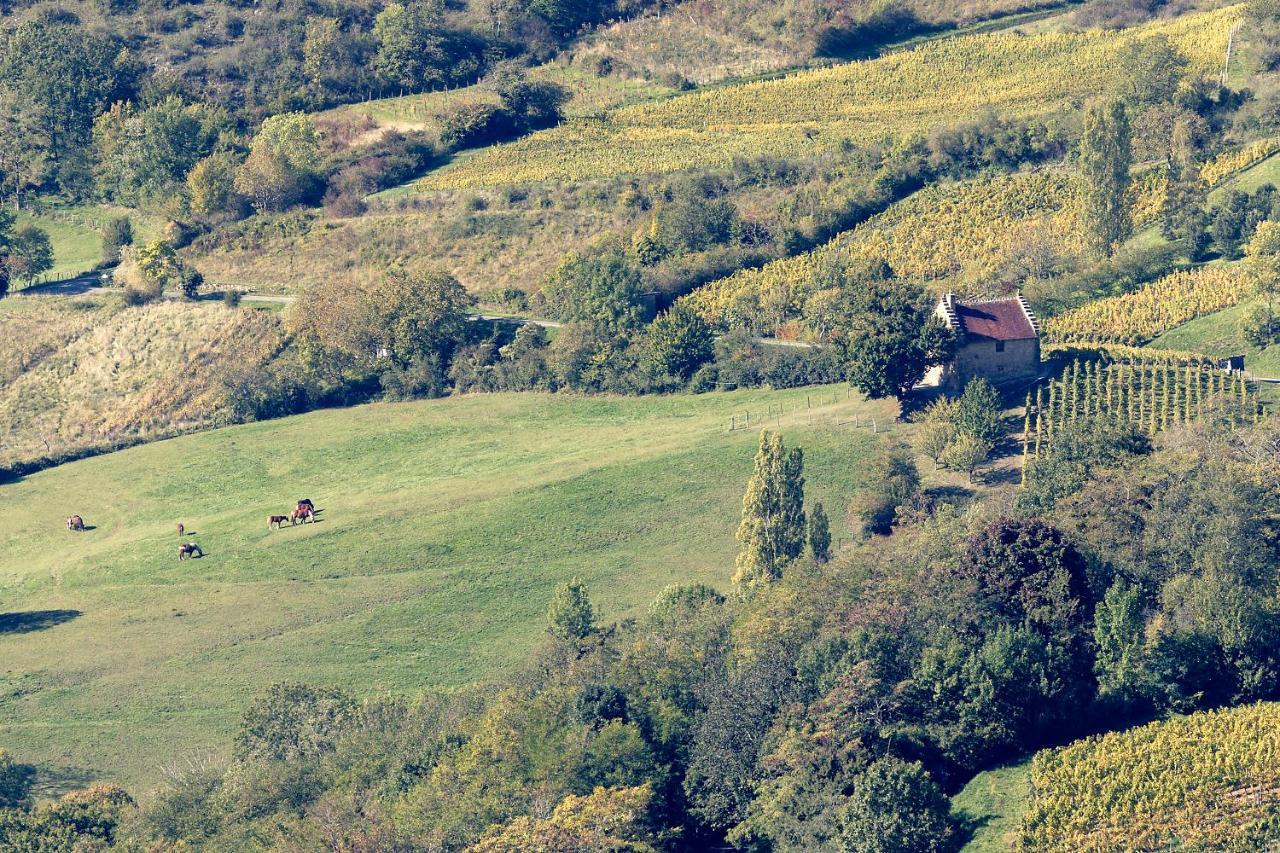 Les Billardes - Le Gite - Jura Gizia Exteriör bild
